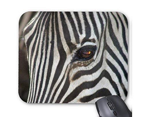 Preisvergleich Produktbild Mousepad Chapman 'sZebra Mausmatte Computer Schreibtisch Schreibwaren Zubehör