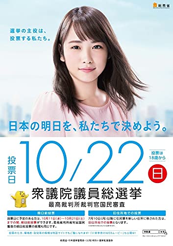 B2ポスターギャラリー（封入シート10枚）+水樹奈々ポスター多数 水樹