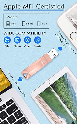 Ios Photo Stick For Iphone, Apple Mfi Certified Usb Flash Drive For Iphone Thumb Drive,Iphone-Memory-Stick For Ipad/Iphone/Computer Picture Hard Drive,128Gb Pink Memory Stick With Type-C Adapter #TOP1