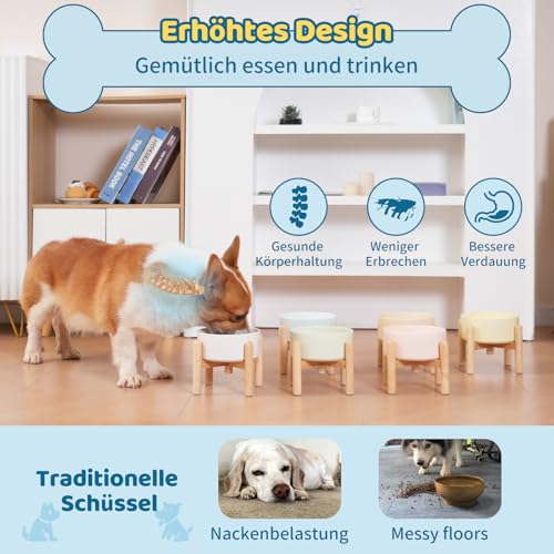 Hundenapf Keramik Futternapf Hund Erhöht - Hundefressnapf mit Rutschfestem Holzständer - Ideal für Kleine und Mittelgroße Hunde - 800 ml - Weiß