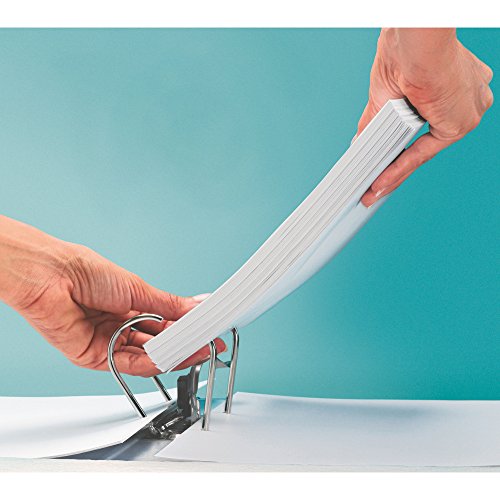 Leitz 10470045 Raccoglitore, Arancione