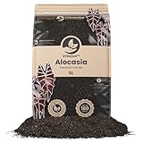 Sybotanica - Terricio per Alocasia 5 L - Substrato di cocco premium per Alocasia, Colocasia, Caladium - Senza torba - Concime organico 180 giorni - Ideale per piante da interno