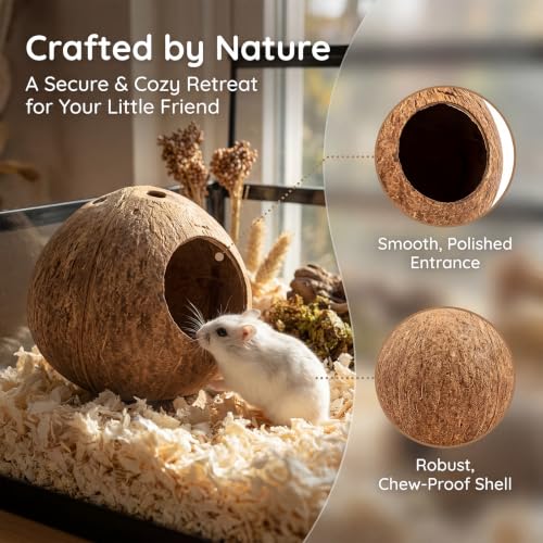 Cama para hámster de coco natural y refugio para hámsters pequeños 5