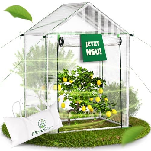Foliengewächshaus 70x50x100 cm – UV-beständiges Tomatengewächshaus mit Erdnägeln & PVC-Folie | Stabiles Gewächshaus für Garten & Balkon | Grow-Zelt für Tomaten, Gurken & mehr | PflanzEcke
