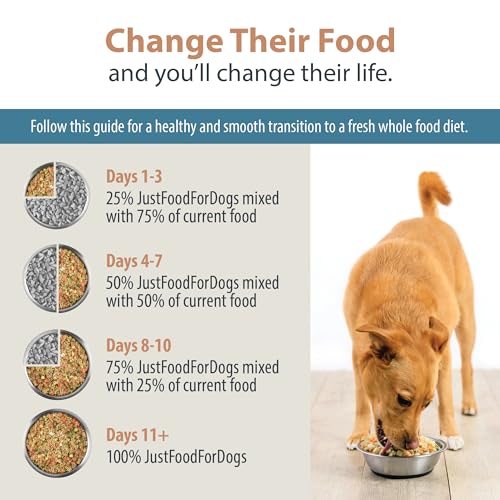 JustFoodForDogs Pantry Fresh Wet Dog Food for Liver Health, Rx Hepatic Low Fat Support, Human Grade Dog Food - 12.5 oz (Pack of 12)