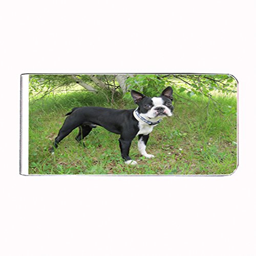 Dog Boston Terrier Money Clip Rectangle