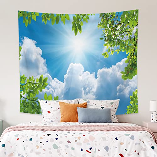 Qinunipoto ^yXg[  Ɖ_ Ri 邢  86x70cm /X Ǐ 唻  CeA  @\ z  ͋C] Vj v[g |GXe