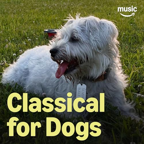 Zusammengestellt von: Amazon Music