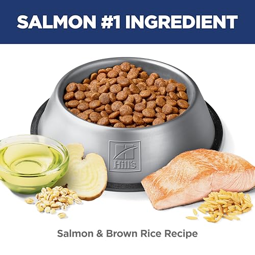 Hill's Science Diet Sensitive Stomach & Skin Dry Dog Food - image 4