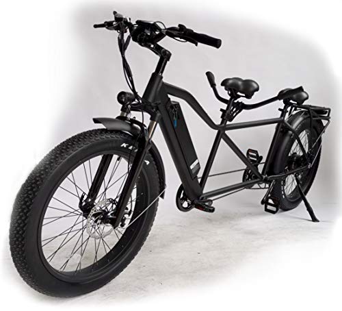 Electric Tandem Bike with 750W Motor