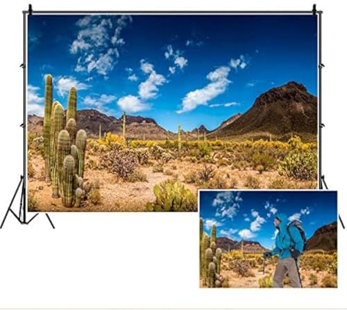 Fotohintergrund Sandstein-Wüste – 2,4 X 1,8 M Vinyl, Mit Blauem Himmel, Wolken, Kakteen