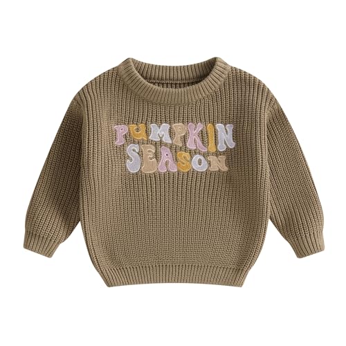 Toddler Knit Sweater Pullover Blouse Pumpkin Sweater Baby Girl Boy Winter Fall Clothes