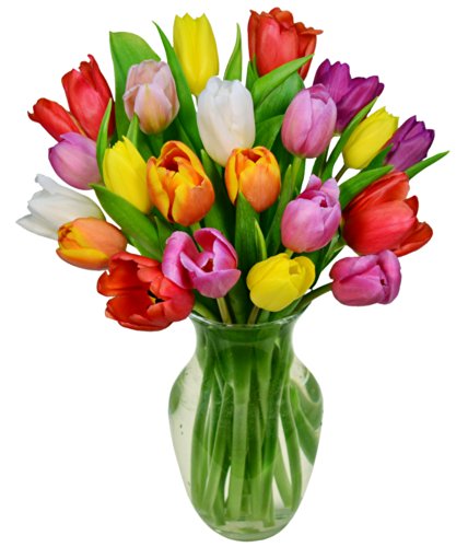 From You Flowers - Rainbow Tulip Bouquet - 20 Stems with Glass Vase | Fresh Flower Bouquets for Birthday, Anniversary, Get Well or Celebration