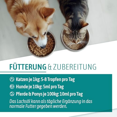 AniGo Premium Lachsöl Hunde 1 Liter, Omega 3 & 6 Barf Öl Hund I Lachsöl Hund 1 Liter I Hochdosiertes Fischöl - in Lebensmittelqualität