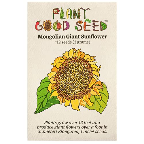 Plant Good Seed Mongolian Giant Sunflower Seeds