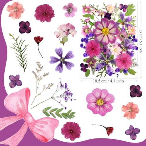 LUCISKY 35Pcs Purple Pressed Dried Flowers for Resin Molds, Real Natural Bulk Dry Floral Leave for DIY Art Crafts, Epoxy Jewelry, Candle, Soap Making, Nails Decors