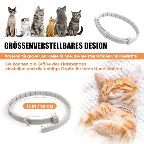 Beruhigendes Halsband für Katzen, Pheromon-Katzenhalsband, zur Linderung von Angst und Stress, verstellbar, wasserabweisend, beruhigende Halsbänder, 6 Stück (grau)