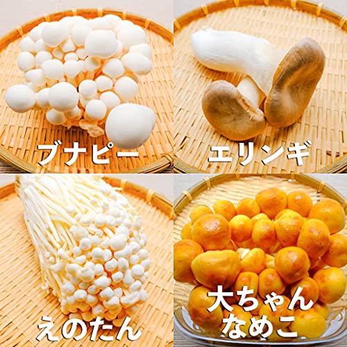 長野・新潟県産きのこセット（8種類）シイタケ、ヒラタケ、マイタケ、ブナシメジ、ブナピー、エリンギ、エノキ、ナメコ 各2パック（16パック）約2kg 5枚目