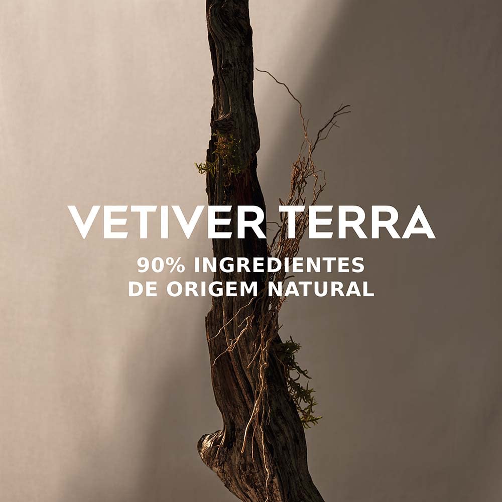 Vetiver Terra Vaporizer