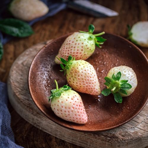 fragole semi di fragola, giardino roccioso resistenti di fragola biologici, interno fresca, resistenti 400pcs