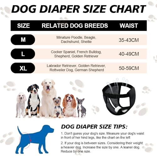 GIDWRIY 2 Pack LäUfigkeitshose für HüNdinnen M,Schutzhose Hündin Mit 6 Damenbinden,Hundehosen Bei Läufigkeit,Schutzhöschen Hunde Periodenhöschen,Höschen Hund Läufigkeit,Waschbare Hundewindeln