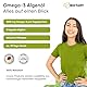 Omega 3 Vegan aus Algenöl 140 Softgel Kapseln | 600 DHA & 300 EPA+ Vitamin E pro Tagesdosis | ca. 3 Monate Vorrat, inklusive Pillenbox | laborgeprüft | hohe Bioverfügbarkeit