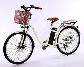 26" Ebike Adult Electric Bicycles/Fat Tire E Bike/Ebike Electric City Commuter Bike /250W/Motor 48V 10.4Ah Max range up to 80-90km Shimano 7 speed/CE certified according to EU standards(1 pcs