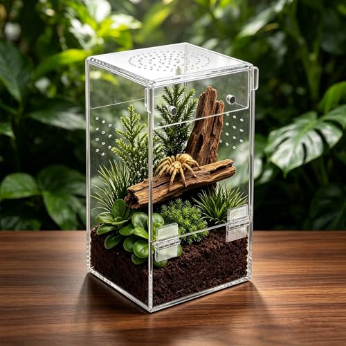 Spinnengehege für Vogelspinnen 15x7.5x7.5cm Vogelspinnen-Gehege mit Tür vorne Schnecken für Springspinne Gottesanbeterin Geckos Laubfrösche Käfer