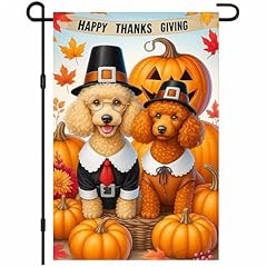 Thanksgiving Poodle Dog