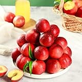 Pfirsichbaum samen - geschenke für gartenliebhaber exotische früchte säulenobst bonsai baum...