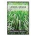 Sow Right Seeds - Lemongrass Seed for Planting - Non-GMO Heirloom Seeds - Full Instructions for Easy Planting and Growing Lemon Grass, Indoor or Outdoors; Great Gardening Gift (1)