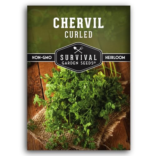 Survival Garden Seeds - Curled Chervil Seed for Planting - Packet with Instructions to Plant & Grow Aromatic French Herbs in Your Home Herb Garden - Non-GMO Heirloom Variety Chervil Seeds