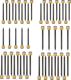 BLMHTWO 50 Pieces Picture Hanging Nails Brass Nails for Hanging Pictures Black Steel Nails and Brass Head Picture Frame Hangers Nails with Plastic Storage Box, 5-30 lbs