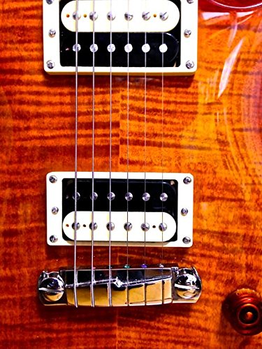 Amazon | PRS SE Bernie Marsden Signature Electric Guitar with