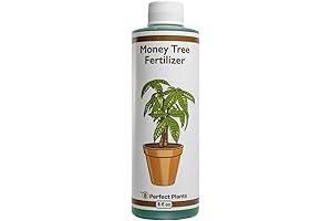 Perfect Plants: Liquid Gold for Your Indoor Pachira Money Tree