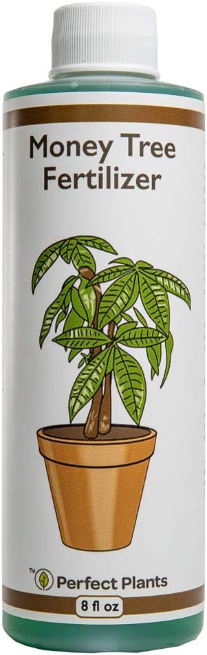 Perfect Plants Liquid Money Tree Fertilizer | 8oz. of Premium Concentrated Indoor and Outdoor Pachira Aquatica Fertilizer | Use with Containerized Houseplant Money Trees