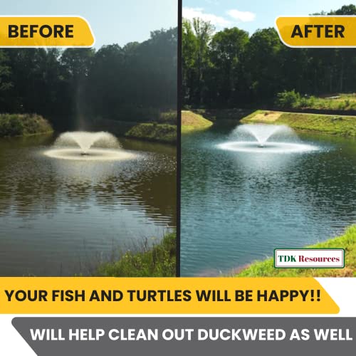 Image of Diamond Pumps 12 Inch Round Disc Air Diffuser Replacement Aerator for Ponds Aquarium Water Treatment Lakes Hydroponic Aquaculture Farming Including Fish Mollusks Crustaceans and Aquatic Plants