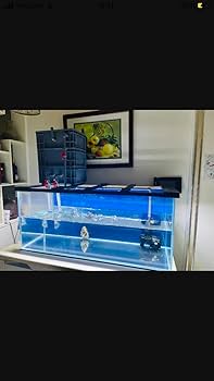 ポンプつき池フィルター万能濾過装置 池フィルター最高濾過装置大)当日発送送料込み 楽天市場】池用循環ポンプ 池ろ過装置の通販 25w水中ポンプ付き