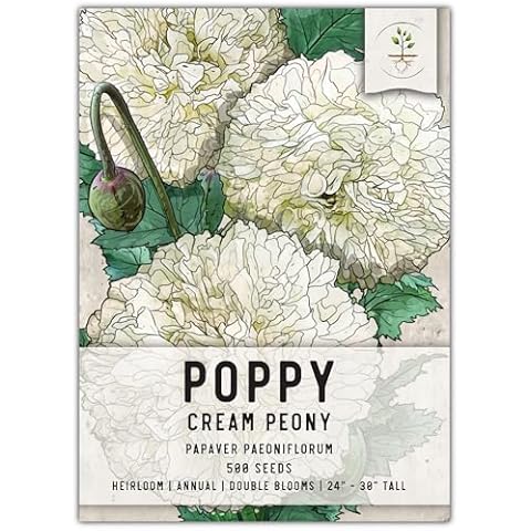 Seed Needs, Cream Peony Poppy Seeds Cover