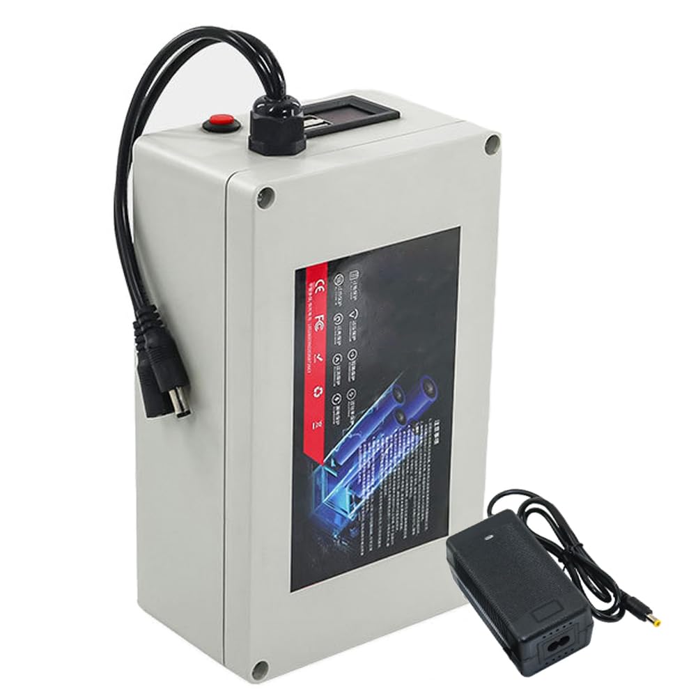 Batteria al Litio Ricaricabile da 12V, 10Ah, 15Ah, 20Ah, 30Ah, 40Ah, 50Ah, 60Ah, 80Ah, 100Ah, Pacco Batteria ad Alta capacità con caricabatteria e Display di Potenza.