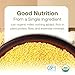 Quay Naturals Organic Millet Flour 2lb | USA-Grown & Milled | Stone-Ground, Gluten-Free, Non-GMO | Vegan, Paleo, High Fiber
