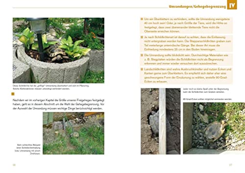 Freigehege für Europäische Landschildkröten: Ein Leitfaden für eine naturnahe Haltung im eigenen Garten (Ratgeber zur Haltung Europäischer Landschildkröten)