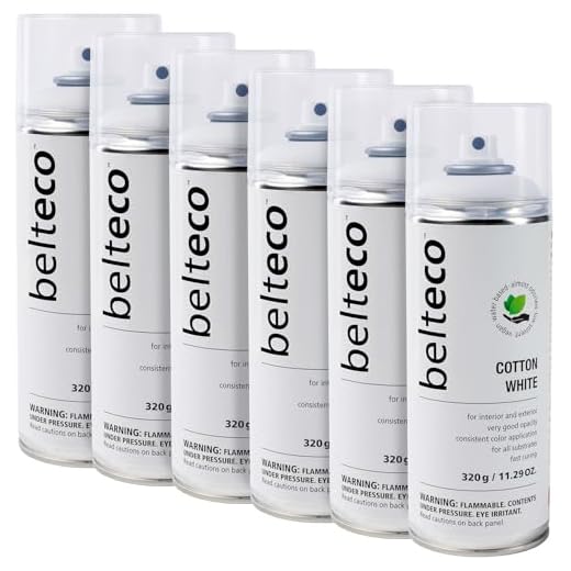 BELTECO Eco-Friendly Spray Paint Set