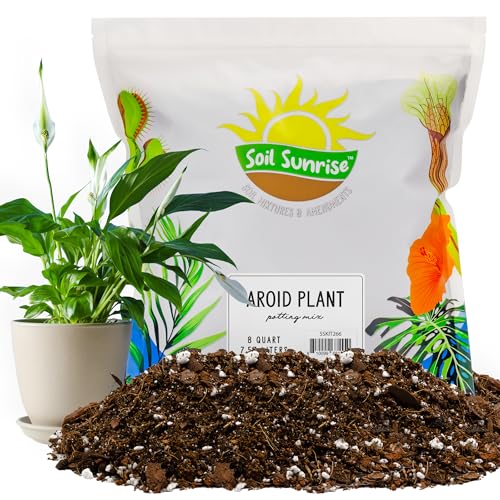 Soil Sunrise Aroid Plant Potting Soil Mix (8 Quarts) for Pothos Devil's Ivy, ZZ Plant, Chinese...
