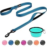 Dog Leash with 2 Padded Comfortable Handles, 5 FT Heavy Duty Reflective Dog Leashes, Double Handle D