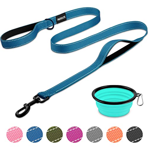 Dog Leash With 2 Padded Comfortable Handles, 5 Ft Heavy Duty Reflective Dog Leashes, Double Handle Dog Leash Perfect For Medium To Large Dogs, Durable Traffic Leashes With Collapsible Pet Bowl #TOP1