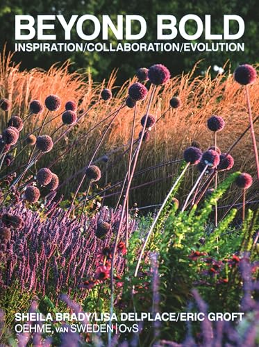 Beyond Bold: Inspiration, Collaboration, Evolution