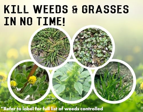 Liquid Harvest Vinegar Weed & Grass Killer - Gallon - Nonselective Herbicide Approved for Organic Production, Pet Safe & Glyphosate Free Herbicide