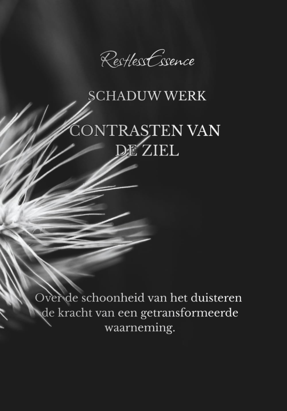 Schaduw Werk Contrasten Van De Ziel: Over de schoonheid van het duisteren de kracht van een getransformeerde waarneming