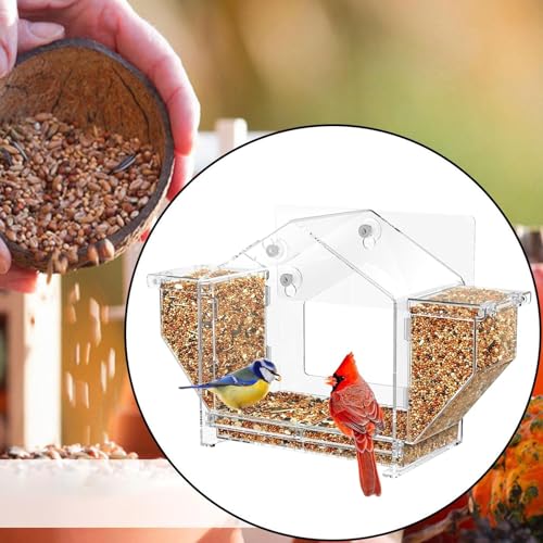Mangeoire oiseaux anti-écureuils transparente pour une observation sans gêne